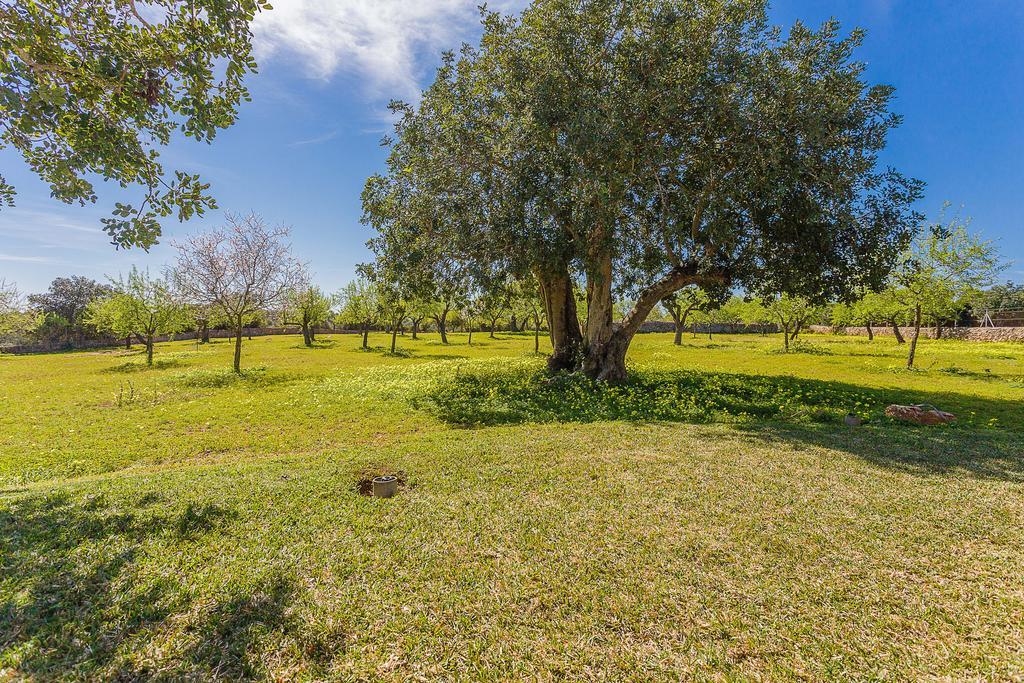 Finca Sa Foradada Cala D´Or Buitenkant foto